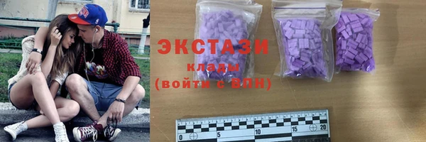 мдпв Бородино