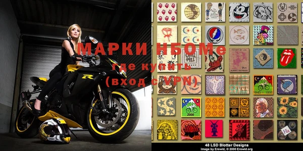 мдпв Бородино
