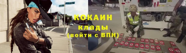 мдпв Бородино