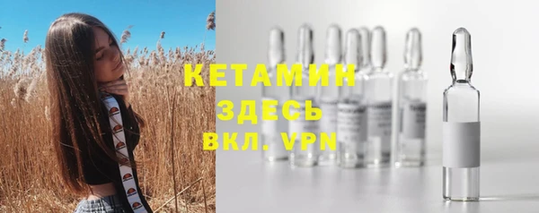 мдпв Бородино