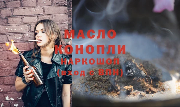 мдпв Бородино