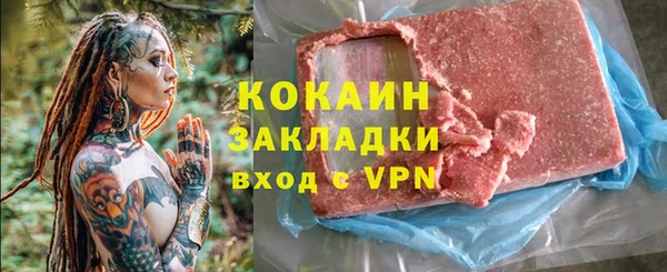 мдпв Бородино