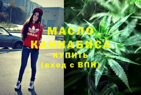 мдпв Бородино