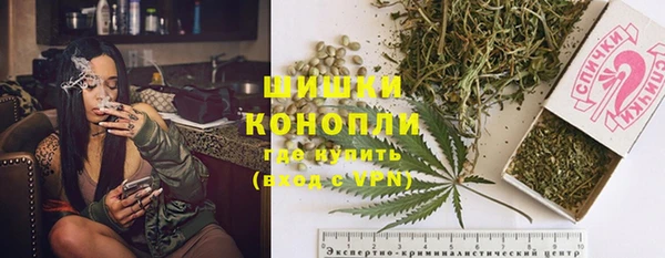 мдпв Бородино