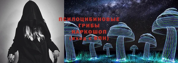 мдпв Бородино