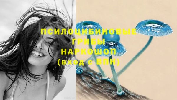 гидропоника Бугульма