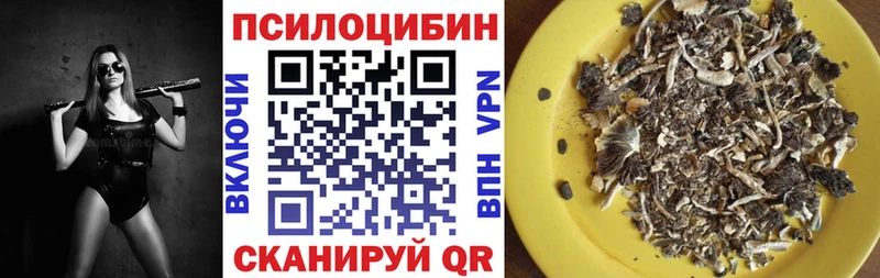 ОМГ ОМГ Шелехов Псилоцибиновые грибы MAGIC MUSHROOMS купить сайты